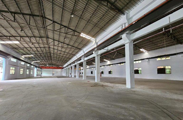 低价厂房出租大朗镇洋乌6900平钢构带宿舍办公室可分租