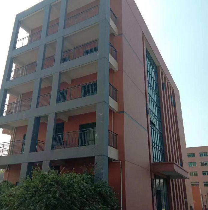 东莞市麻涌镇漳澎村5万方厂房（仓库）出租