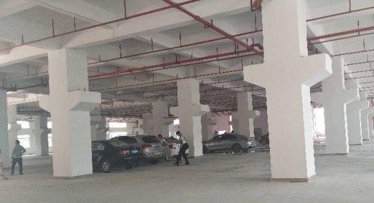 凤岗金凤凰一楼带牛角 高6.5米厂房出租4350平 可分租