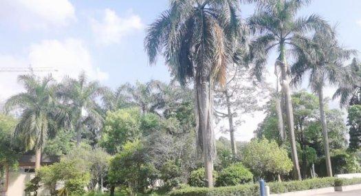 黄江花园式独院厂房，形象好全新装修，可整租可分租，空地大电量大交通便利