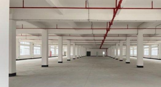 东莞东莞市 清溪镇三中村清凤路附近120000㎡ 厂房租售层高7米 跨度30米 配电2000KVA 独院 可环评 可分租