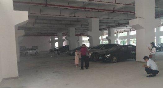 凤岗金凤凰一楼带牛角 高6.5米厂房出租4350平 可分租