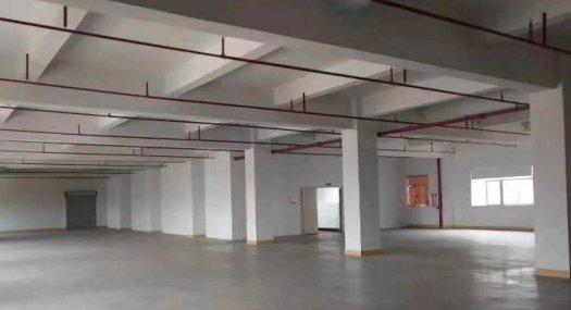 凤岗油甘埔玩具 电子 印刷厂房出租1000平 现成办公室装修