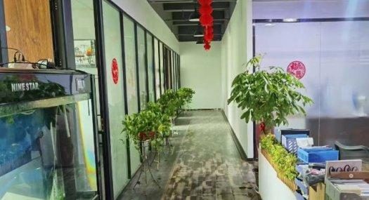 东莞东莞市 东莞凤岗独院厂房6000平厂房出租6000㎡ 厂房租售配电315KVA 独院 可环评 可分租