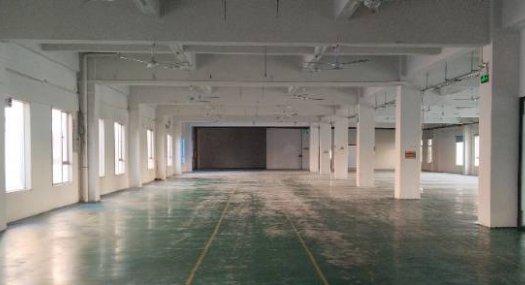 东莞东莞市 长安沙头南区大康惠附近1500㎡ 厂房租售层高4.5米 配电450KVA 独院 可环评 可分租
