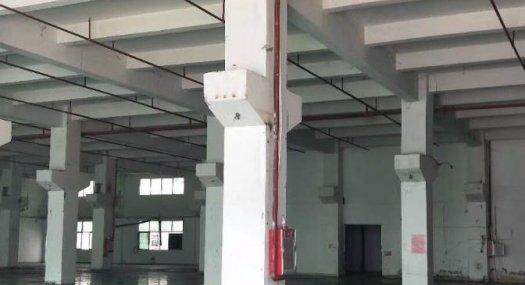 凤岗雁田布心附近出租一楼7米高带牛角带装修厂房2600平