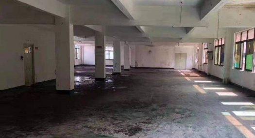 租金便宜凤岗凤德岭楼上厂房600平出租光线好 小加工服装行业