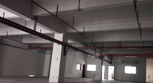 凤岗金凤凰楼上带行车 现成办公室厂房出租650平