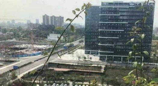 东莞松湖芯·50年红本厂房2200㎡ 出售