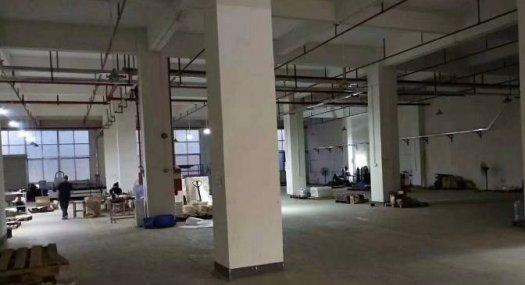 凤岗金凤凰原房东一楼适合各行业厂房1510平高5米