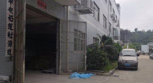 塘厦镇石谭布出租一楼现成办公室厂房800平，位置佳