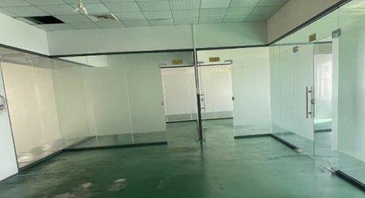 东莞东莞市 长安沙头南区大康惠附近1500㎡ 厂房租售层高4.5米 配电450KVA 独院 可环评 可分租