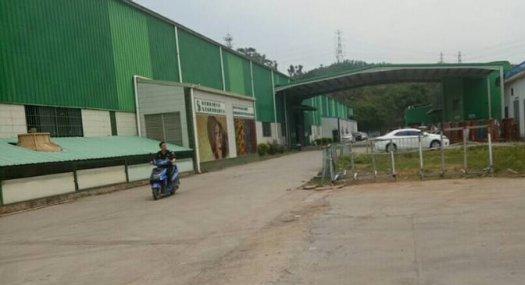 清溪九乡大型物流园钢构厂房出租2500平 空地大 近高速