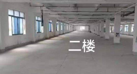 东莞东莞市 中堂镇蕉利工业区5508㎡ 厂房租售 独院 可分租