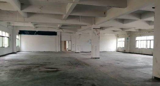 东莞市大朗镇新马莲u村3楼厂房出租1420平方