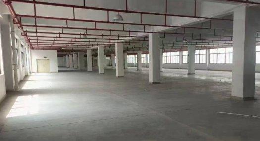 东莞东莞凤岗金凤凰12000㎡ 砖混厂房租售层高6米 跨度300米 配电315KVA 独院天车3吨 有蒸汽 有燃气 可环评 可分租