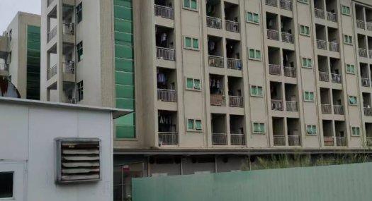 东莞东莞市 谢岗镇银丰路25000㎡ 厂房租售 独院 可环评 可分租