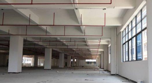东莞东莞市 寮步镇工业园区28000㎡ 厂房租售 独院 可环评 可分租
