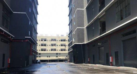 顺德区杏坛镇全新厂房 面积2231平方 配电320千瓦 丙二类消防 可分租