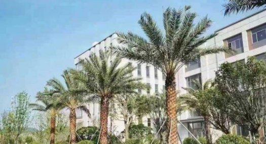 禅城区唯一国有50年产权红本厂房 花园式标准厂房