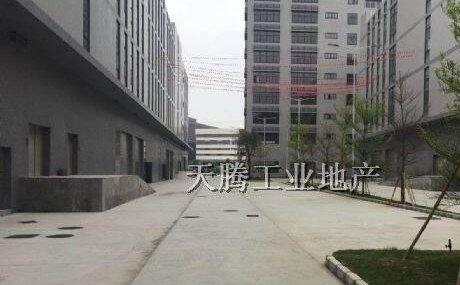 杏坛智富园厂房出售 已出房产证 46年产权