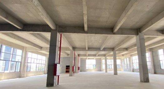 四层高独栋出售，50年国有产权，二类工业用地，全新可定制，首付2成。