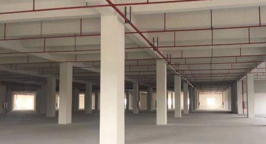 全新50年产权一手厂房 无税收要求 不限行业 冷热能源覆盖