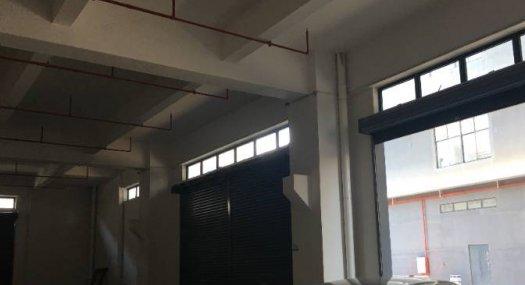 顺德区杏坛镇全新厂房 面积2231平方 配电320千瓦 丙二类消防 可分租