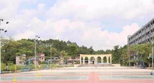 【租售】佛山高明 25020㎡ 厂房 独院 可环评