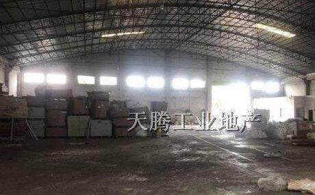 杏坛流转厂房出售 13亩占地 专变用电