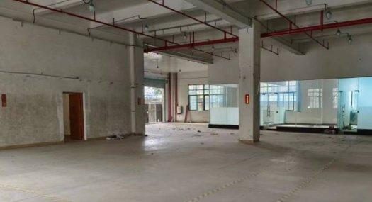 佛山禅城 张槎朗宝中路51号工业园422㎡ 厂房租售层高5.5米