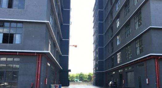 顺德区杏坛镇全新厂房 面积2231平方 配电320千瓦 丙二类消防 可分租