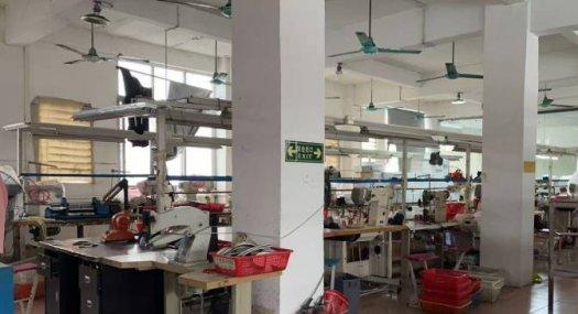 广州市白云区金沙洲厂房出租