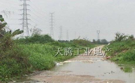 杏坛一块流转工业用地 48448方 已出房产证
