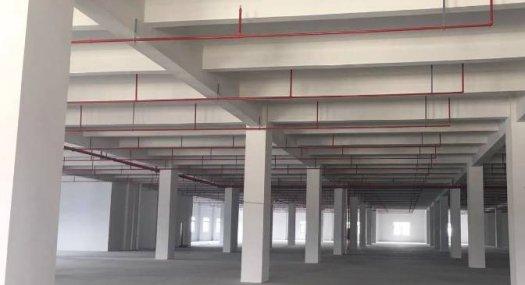 全新50年产权一手厂房 无税收要求 不限行业 冷热能源覆盖