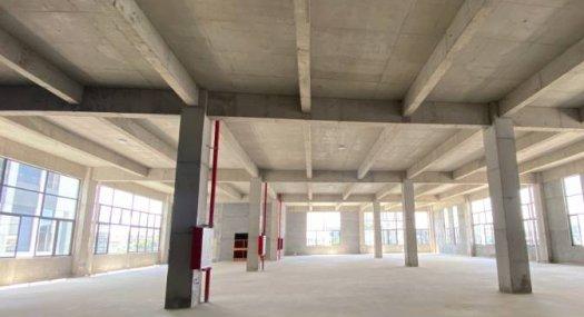 智荟港顺德智造园 广东省佛山市顺德区勒流街道150000㎡ 厂房租售层高7.9米 配电70KVA 独院 可环评