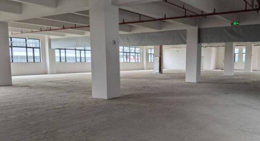 均价5元每平方、佛山顺德 星槎中路16号700000㎡ 厂房租售层高6米 ，每层1000-1500方、配电200KVA 独院 可环评 可分租