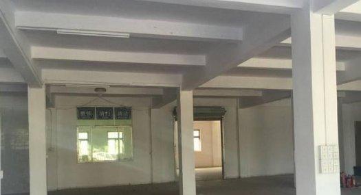 伦教羊额独院1000方平方标准厂房出租 可做环评