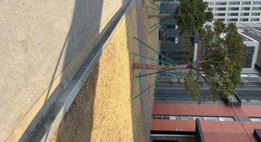 佛山顺德 三乐路 华智科创中心1968㎡ 厂房租售层高6米 配电100KVA 可环评