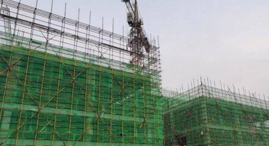 顺德勒流港口西路 全新独栋厂房出售 M2地块 50年国有 可定制