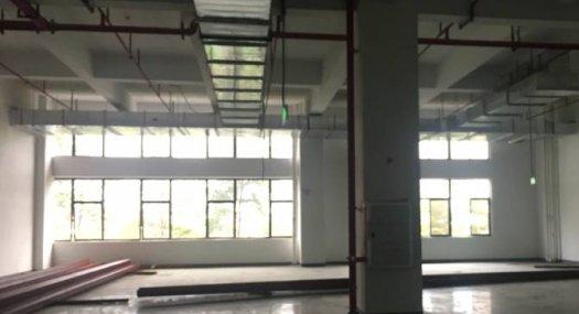 顺德区杏坛镇全新厂房 面积2231平方 配电320千瓦 丙二类消防 可分租