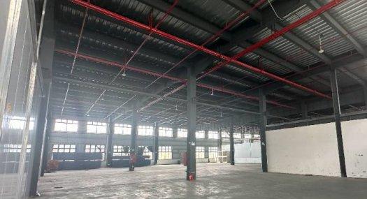 【低价10~20元/平】佛山顺德【6-10米高】稀缺工业园厂房、仓库出租