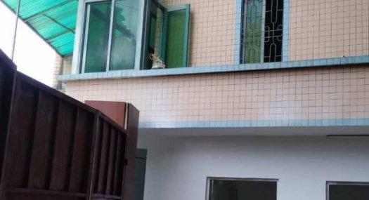 狮山3600方厂房出租，有国土证，大马路边，出入方便