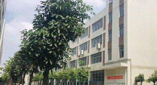 广州增城新塘经济开发区富士康工厂旁80000㎡ 厂房租售，可分租，适合做化妆品、印刷、医药、食品类等行业！