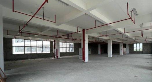 广州南沙 南沙区横沥镇冯马路11号27000㎡ 厂房租售 有蒸汽