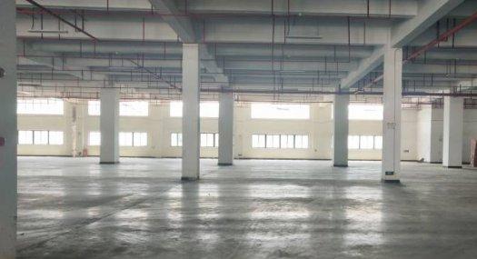 广州黄埔 10000㎡ 厂房租售层高4.5米 可环评