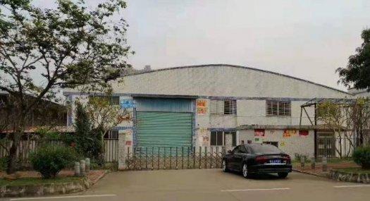 广州番禺 石楼长江路266号6000㎡ 厂房租售配电300KVA 独院 有蒸汽 有燃气 可环评 可分租