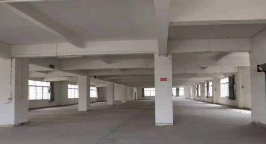 广州番禺 番禺区南村镇塘步村6200㎡ 厂房租售 有燃气 可环评 可分租