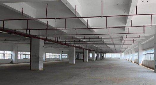 广州黄埔 20000㎡ 厂房租售 可环评