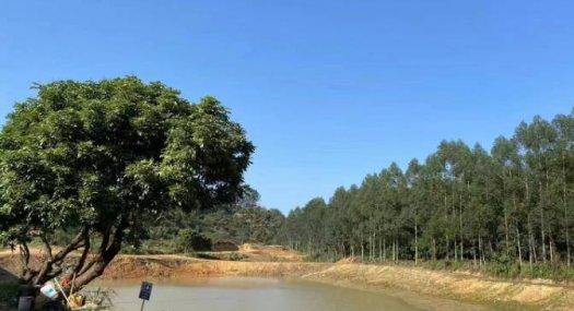 广州增城 佰家乐光辉农场 45亩独门山地出租